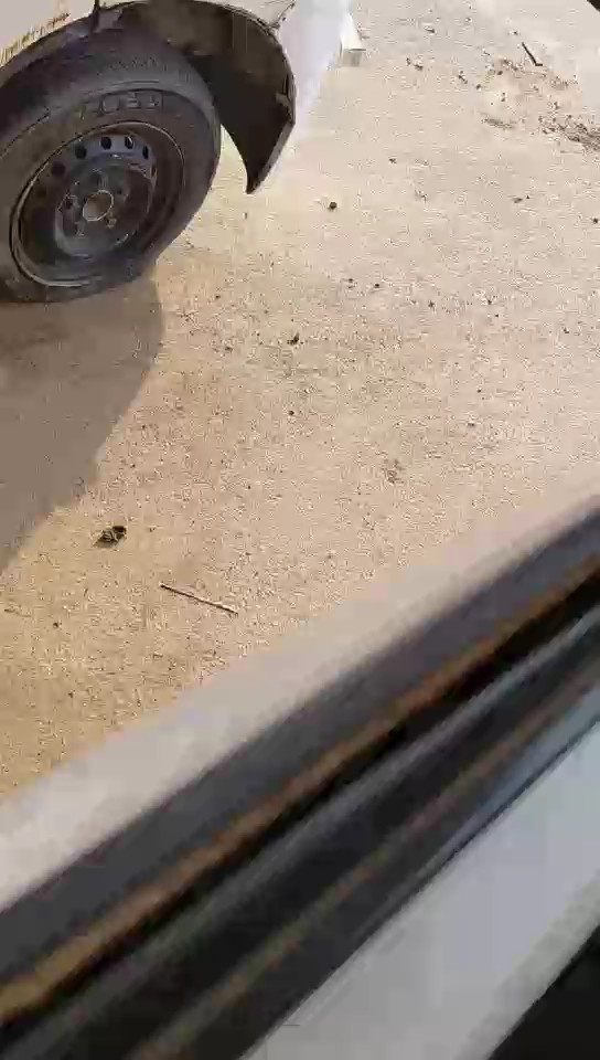 Daihatsu Dabbab  2013 video