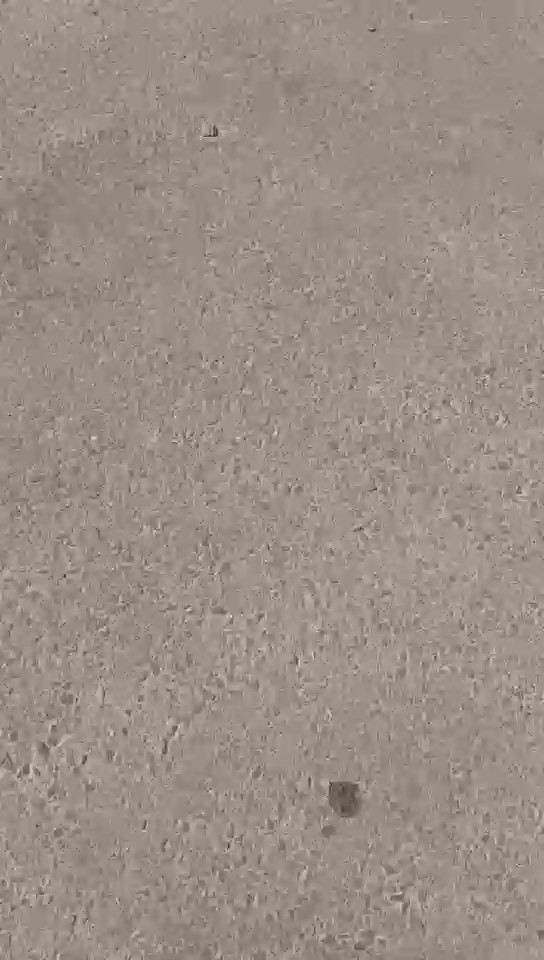 Daihatsu Dabbab  2015 video