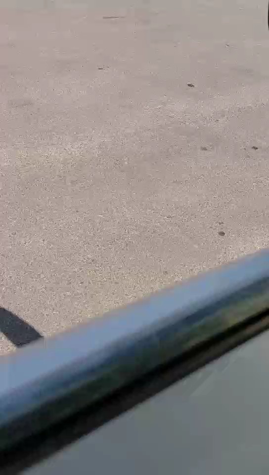 Daihatsu Terios  2015 video