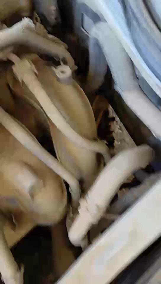 Toyota Hiace  2015 video