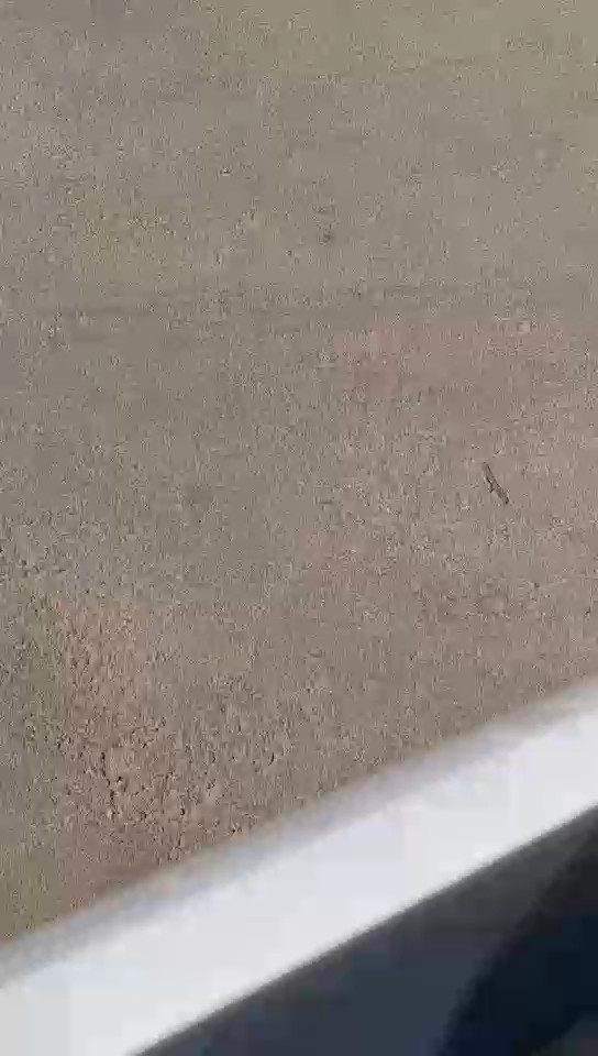 Toyota Hiace  2015 video