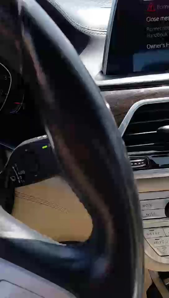 BMW 730 Li  2020 video