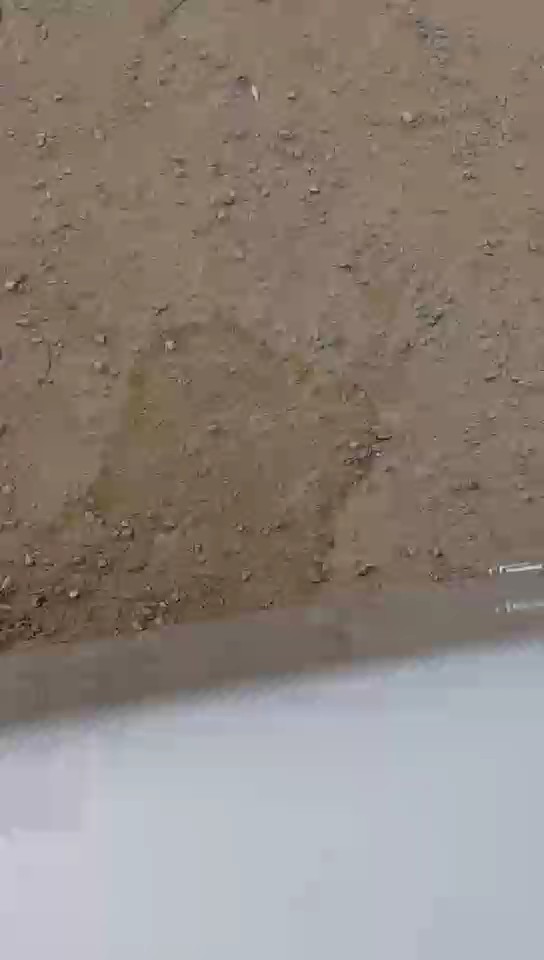 Chevrolet  Traverse  2022 video