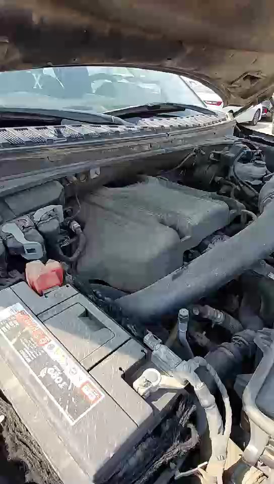 Ford Expedition XLT 2020 video