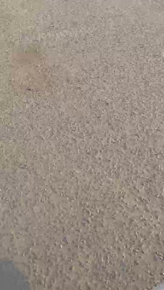 نيسان أورفان  2023 video