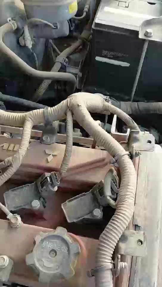 جريت وول وينجل 7  2022 video