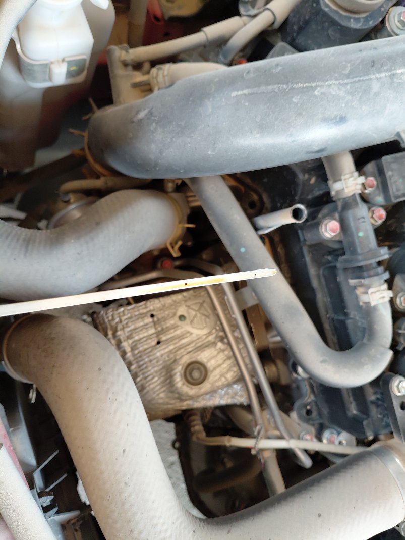 Toyota RAIZE LIMITED 2023 image