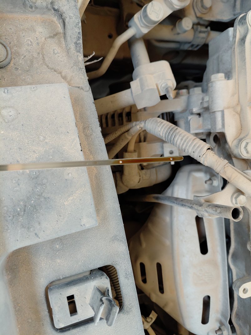 Toyota Yaris Y PLUS  2020 image