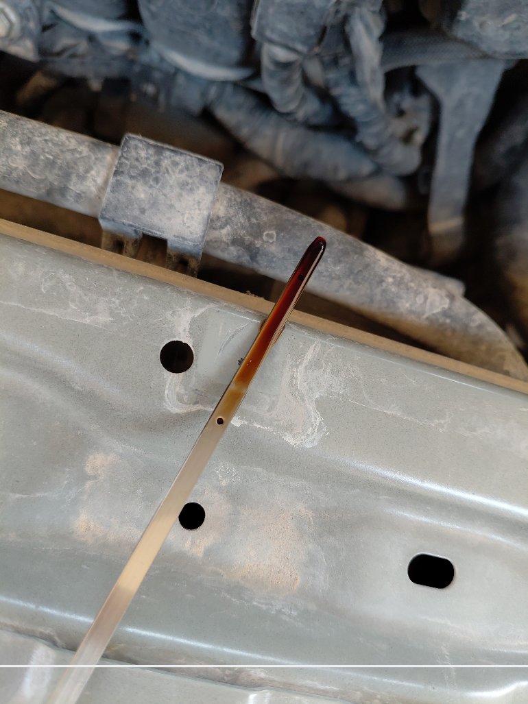 Toyota Corolla XLI 2021 image