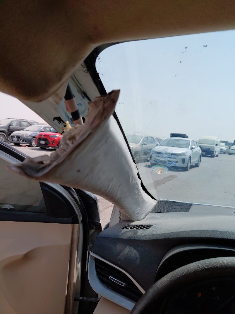 Toyota Yaris Y PLUS  2020 image