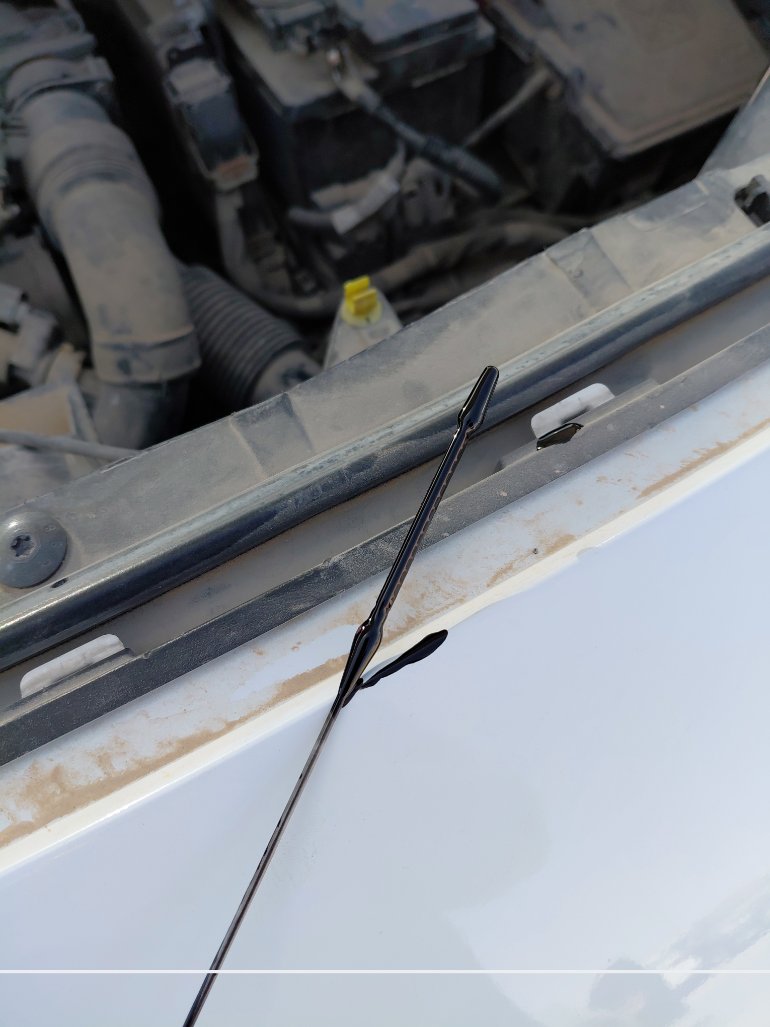 Peugeot  Partner  2022 image