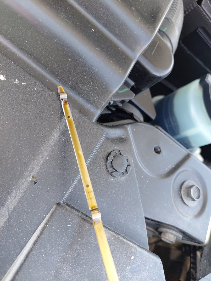 نيسان إكستيرا  2024 image