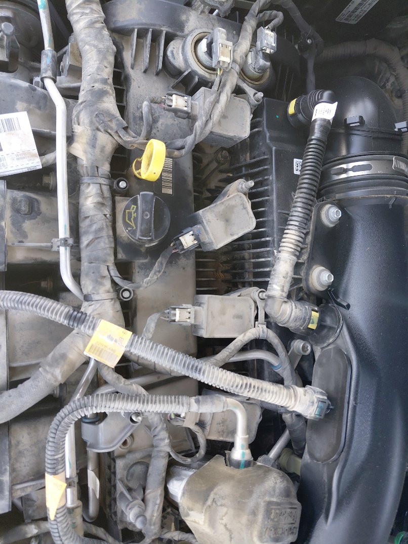 Ford Taurus  2020 image