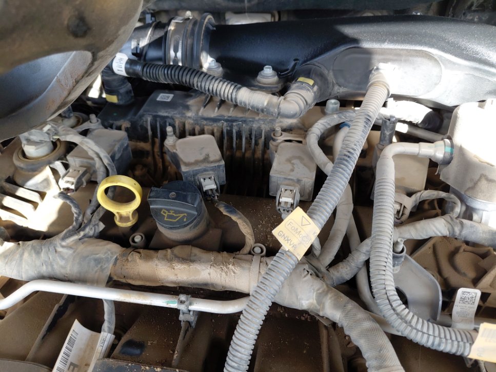 Ford Taurus  2020 image