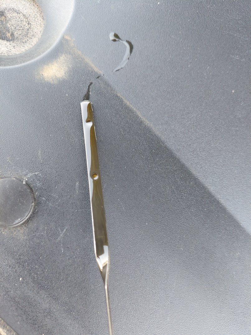 Ford Taurus  2020 image