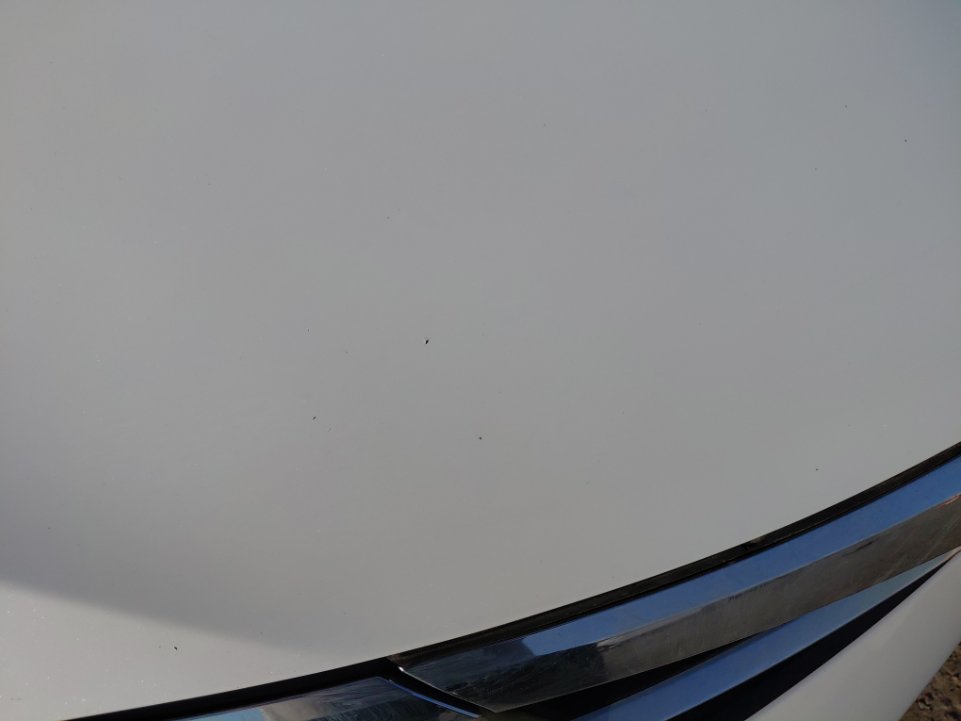 تويوتا كورولا  2017 image