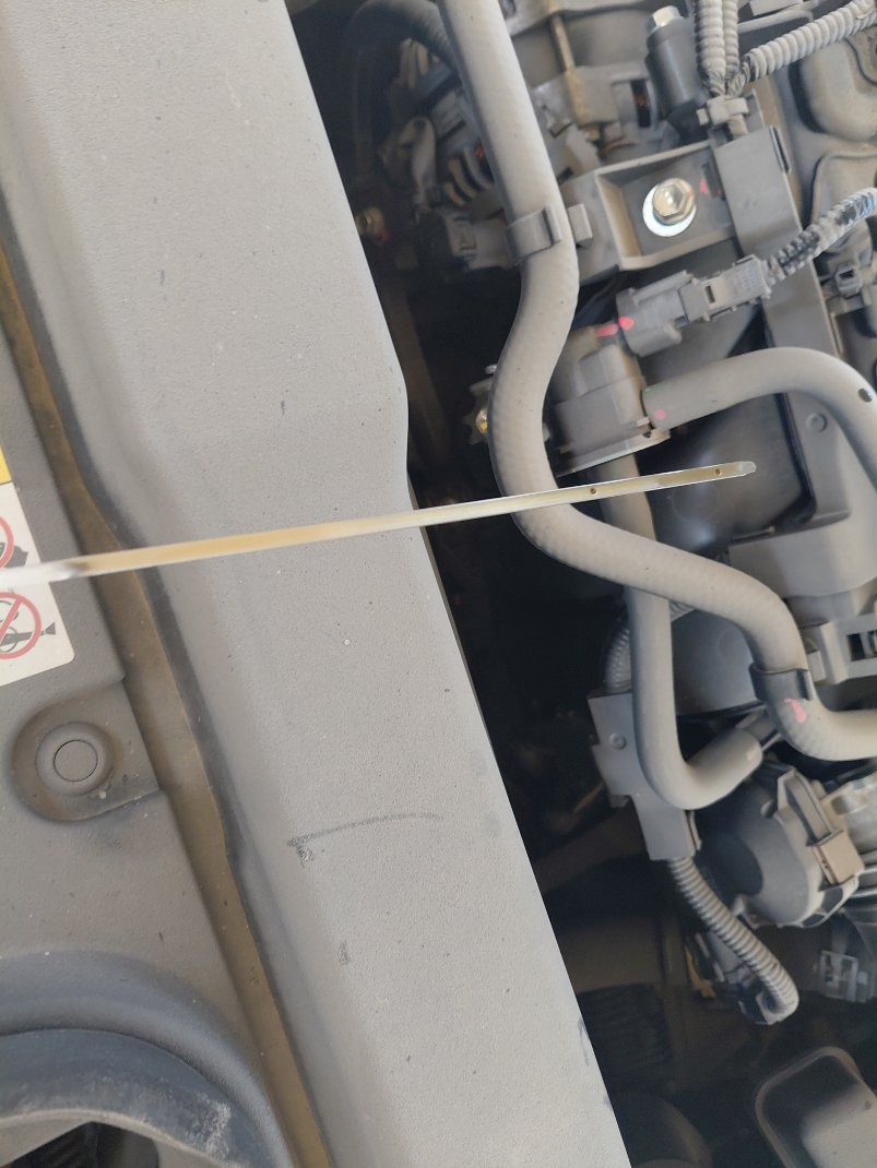 تويوتا كورولا XLI EXE 2023 image