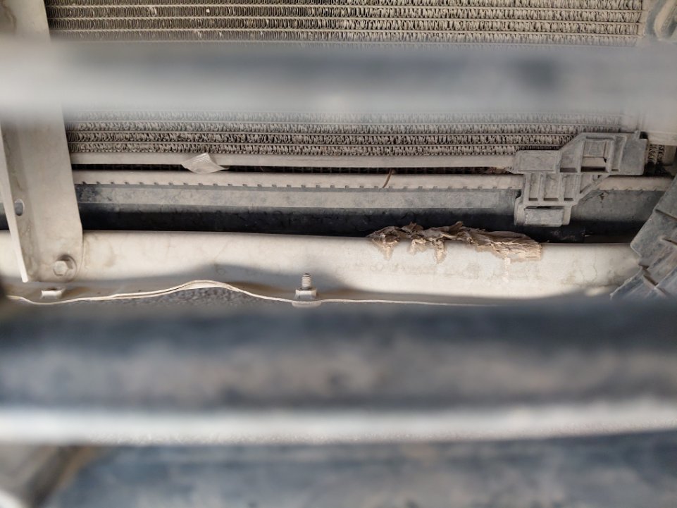 تويوتا يارس Y 2020 image