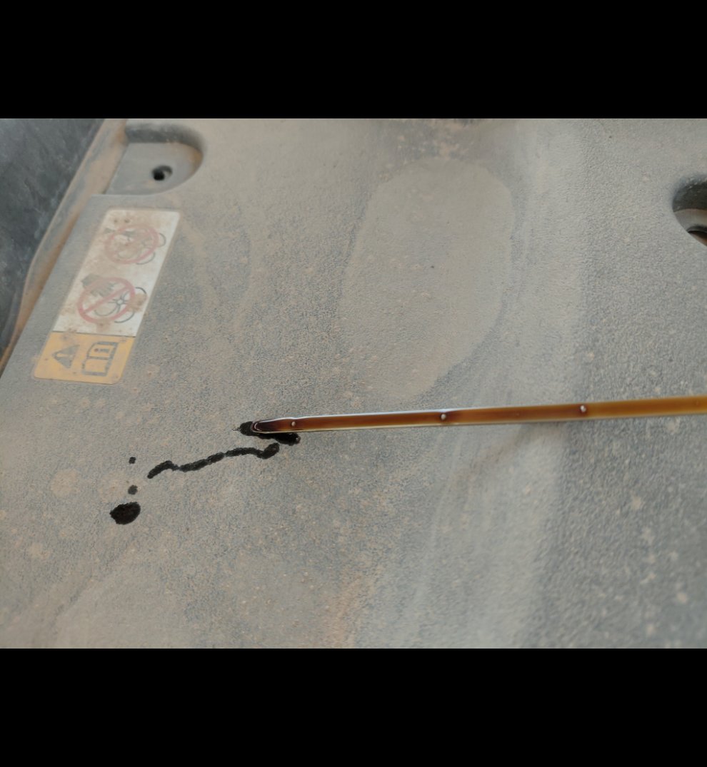 تويوتا كورولا XLI EXECUTIVE 2021 image