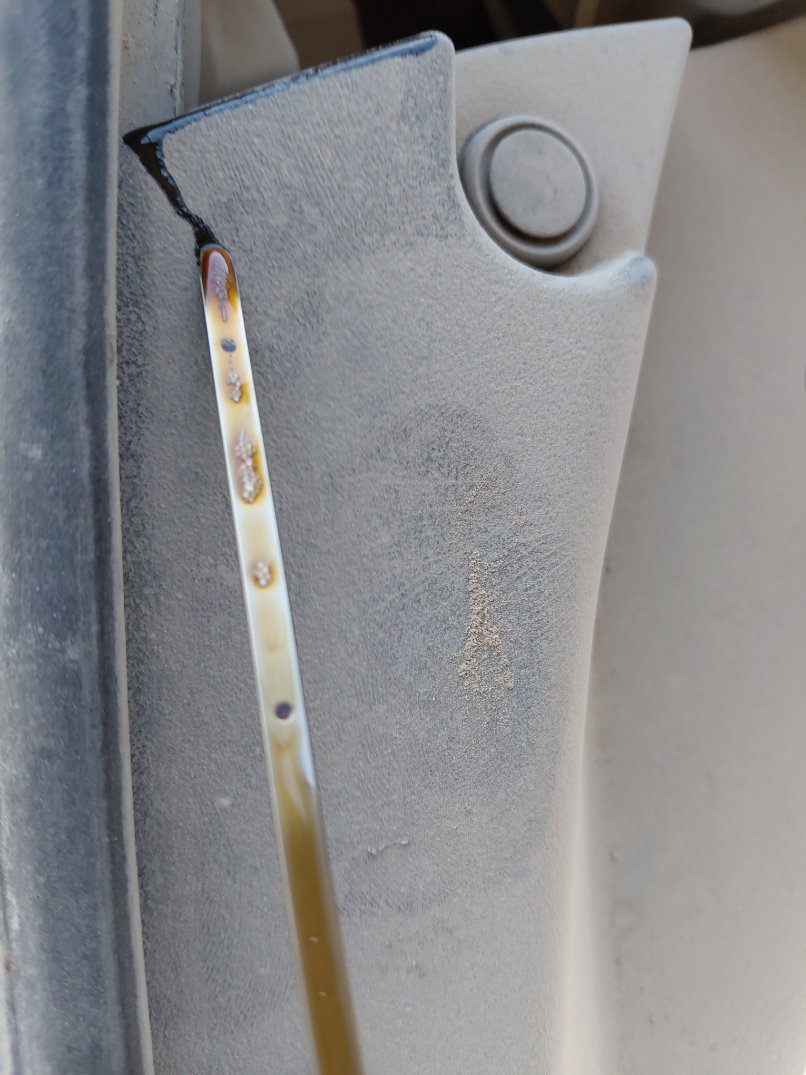 تويوتا كورولا XLI EXE 2023 image