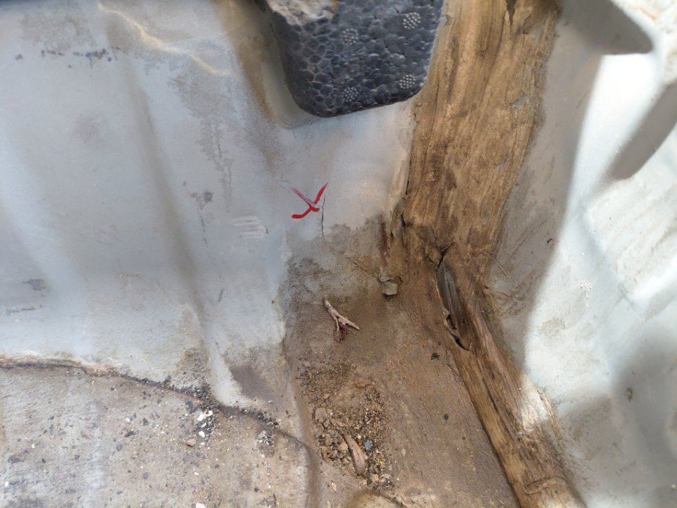 تويوتا يارس  2017 image