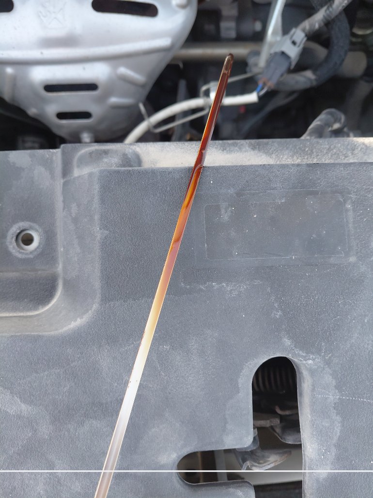 تويوتا يارس  2021 image