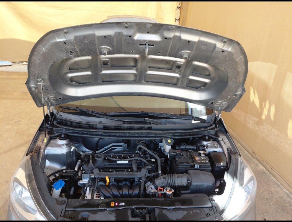 KIA Pegas  2023 image