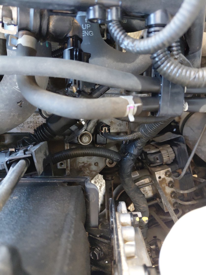 KIA Pegas  2023 image