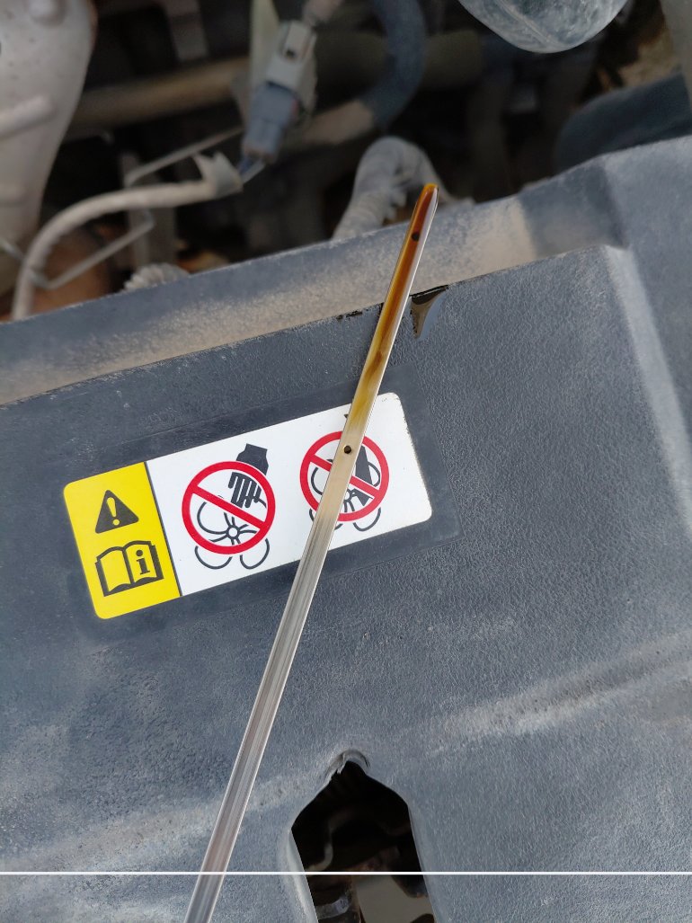 Toyota Yaris  2019 image