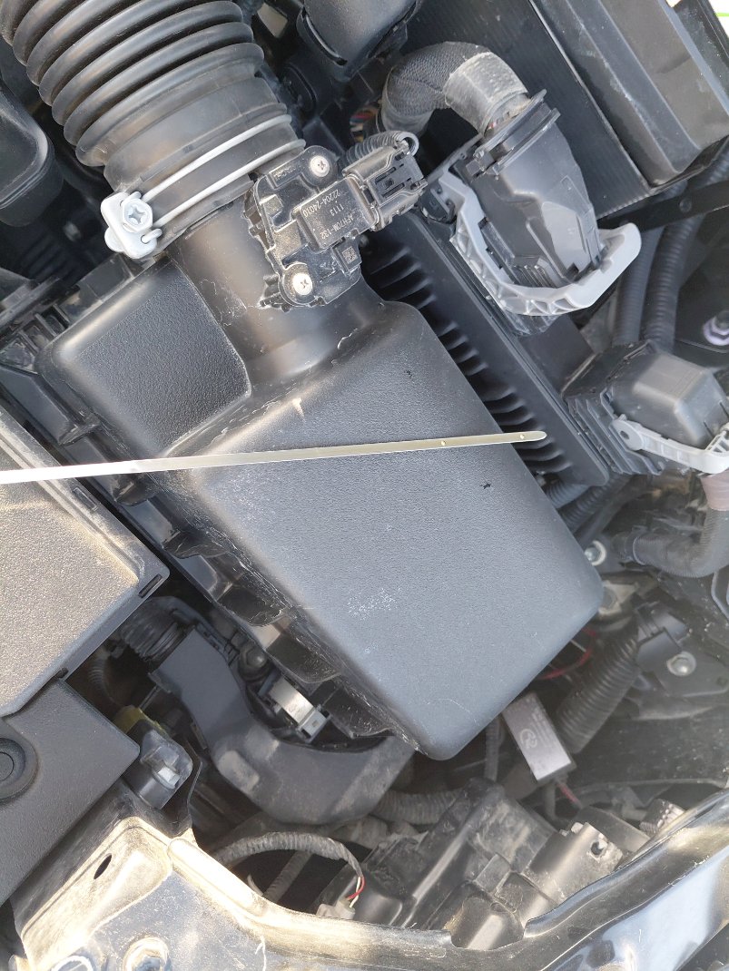 Toyota Corolla GLI M/R 2021 image