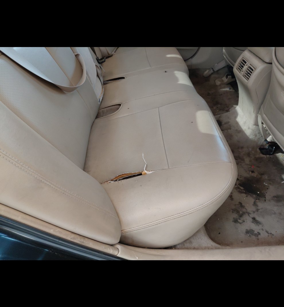 تويوتا كامري  2013 image