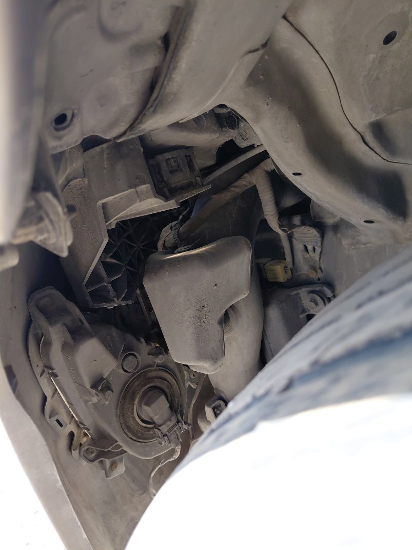 Hyundai Elantra  2016 image