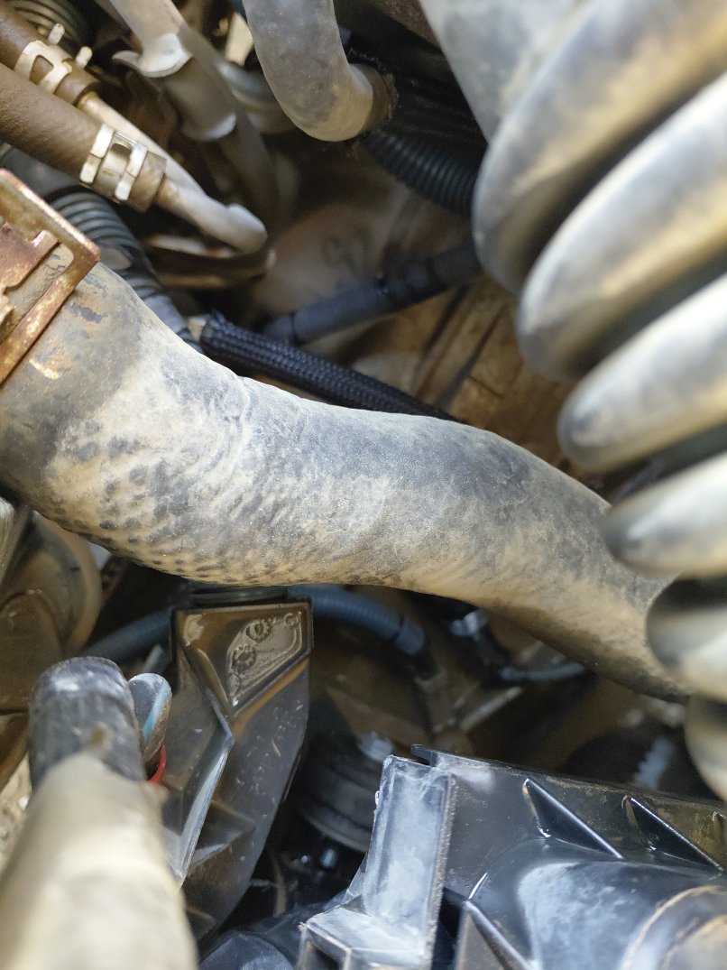 تويوتا كورولا  2013 image