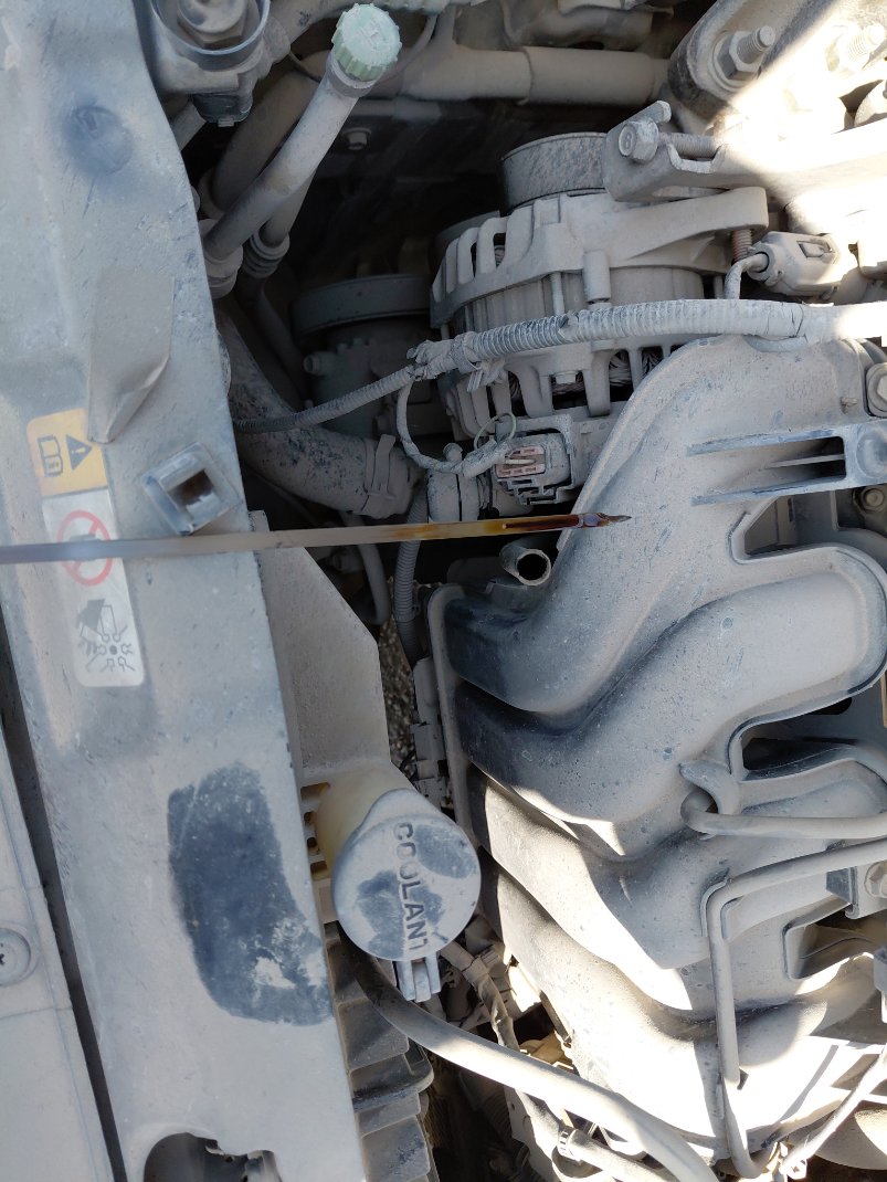 Hyundai Elantra  2016 image