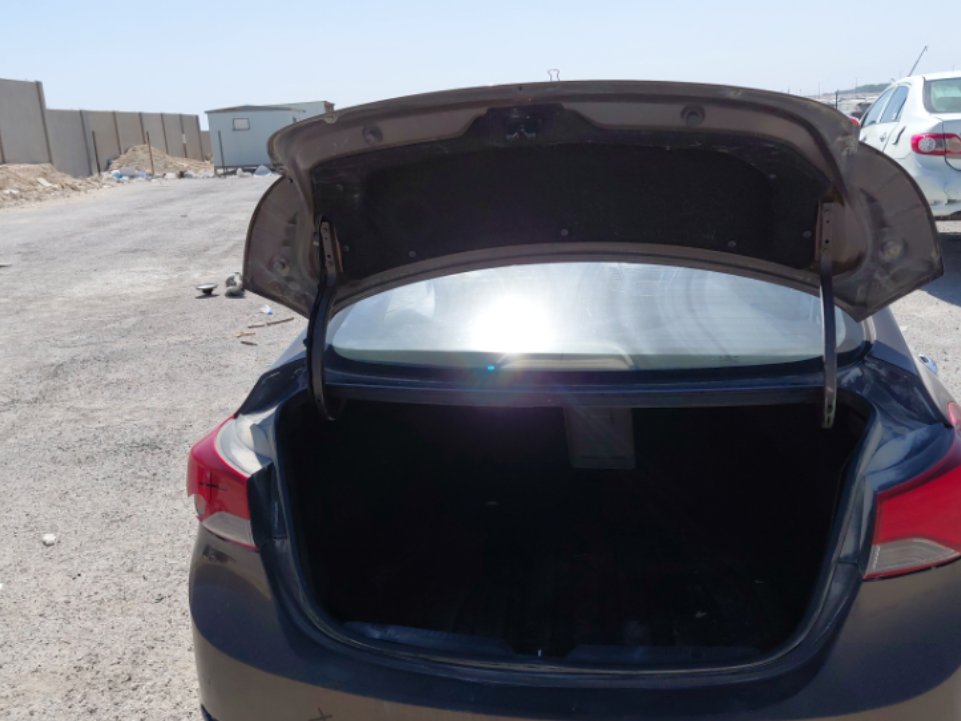 Hyundai Elantra  2016 image