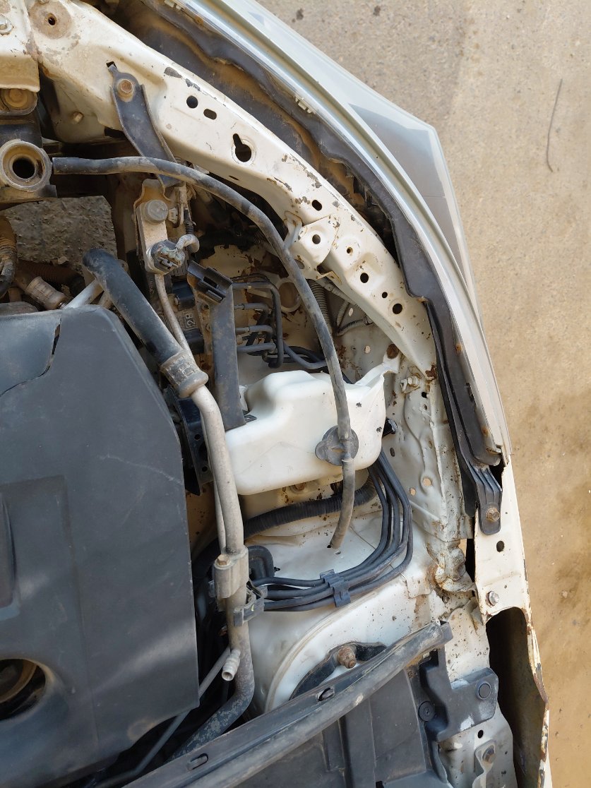 تويوتا كورولا  2015 image