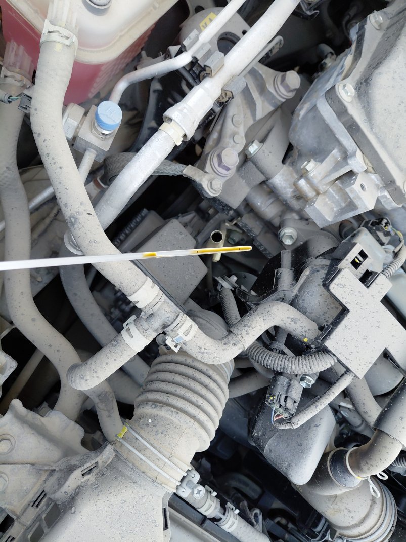 تويوتا كورولا كروس XLI HEV 2023 image