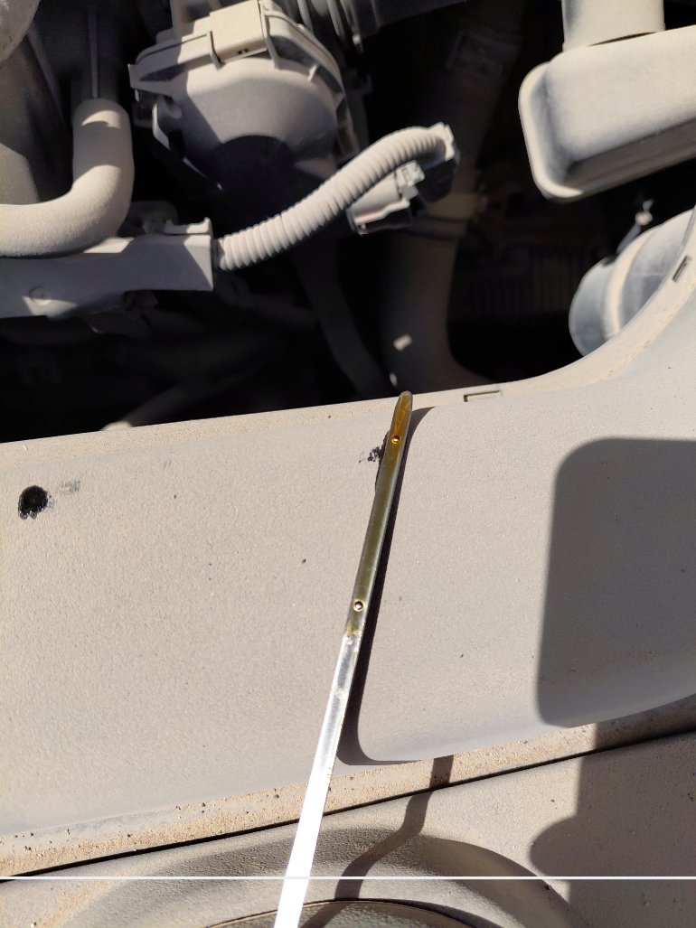 تويوتا كورولا XLI 2022 image