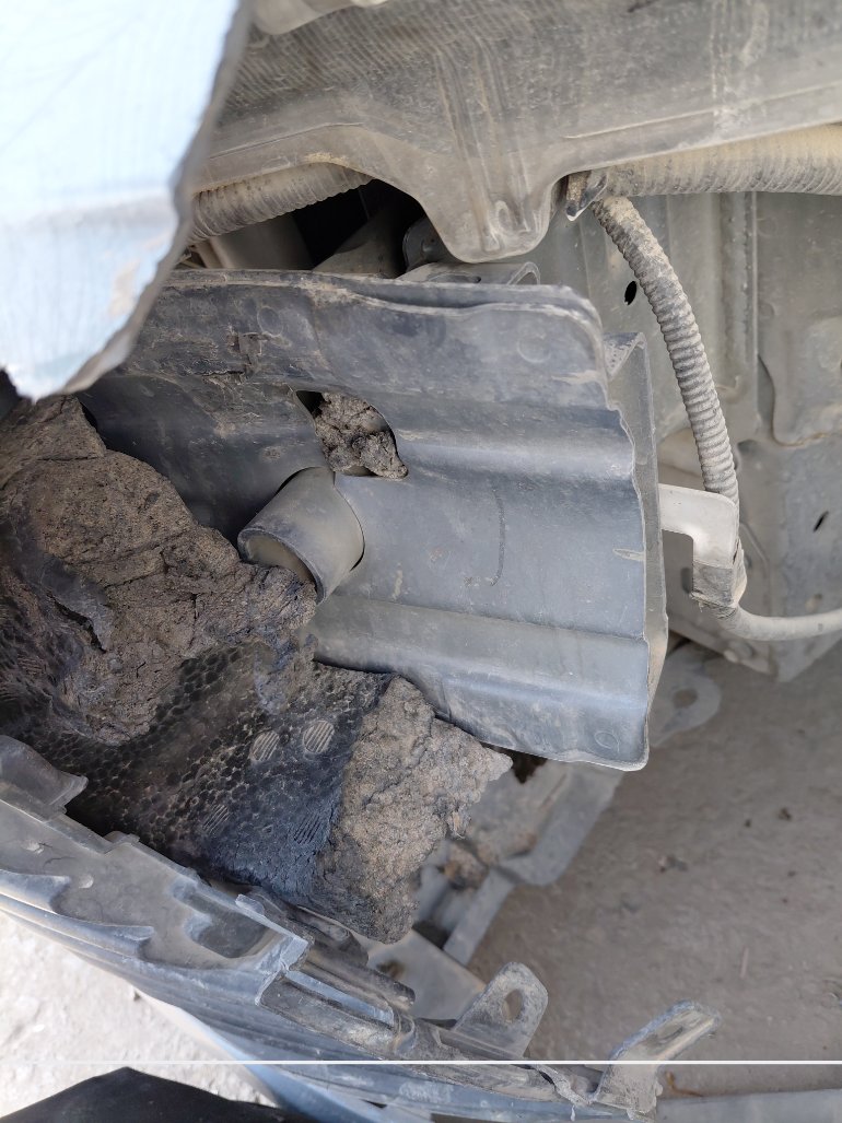 تويوتا كورولا XLI 2022 image