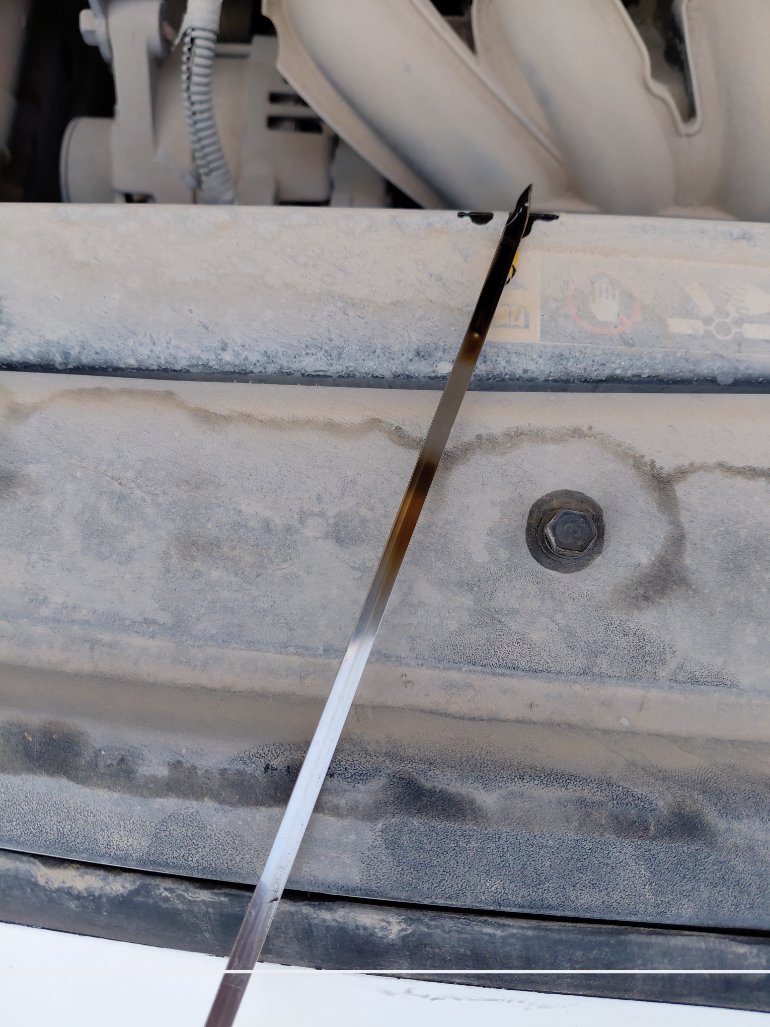 هيونداي أكسنت FLEET 2019 image