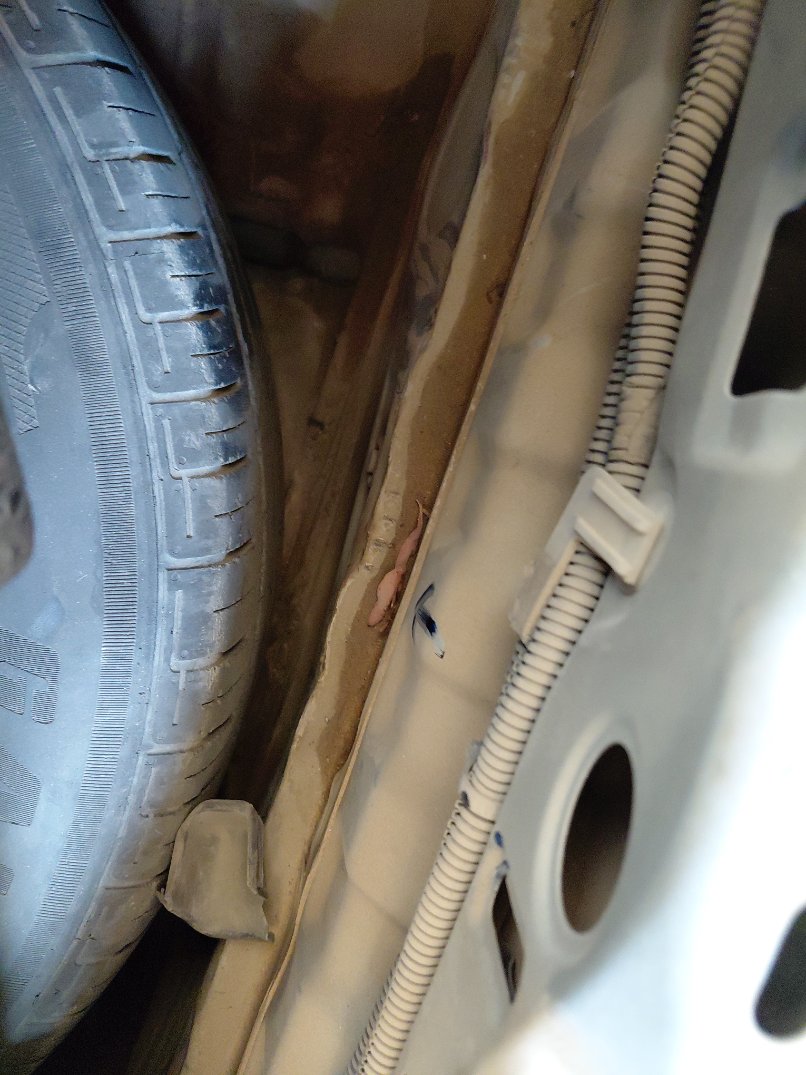 تويوتا كامري  2017 image