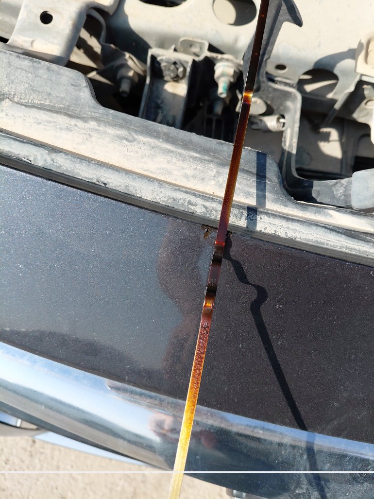 Nissan Sunny FLEET 2021 image