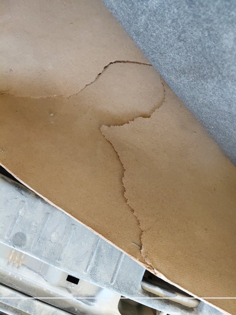 Nissan Sunny FLEET 2021 image