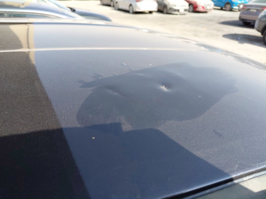 Nissan Sunny FLEET 2021 image