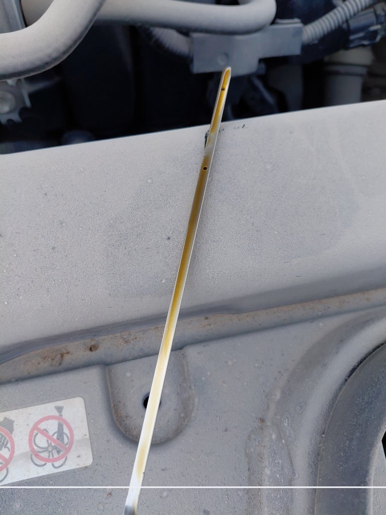 Toyota Corolla  XLI EXE M/R  2022 image