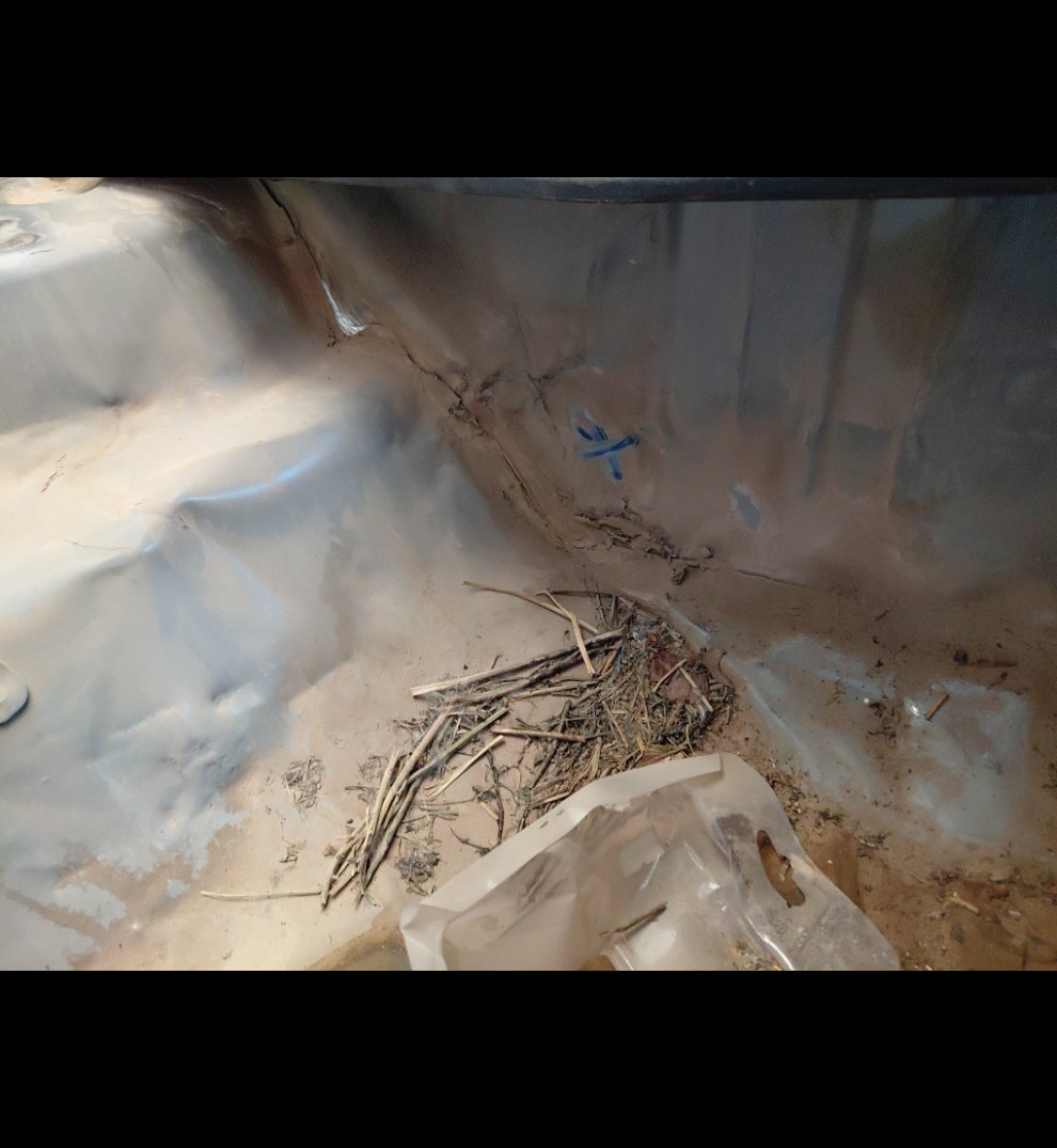 تويوتا كورولا  2015 image