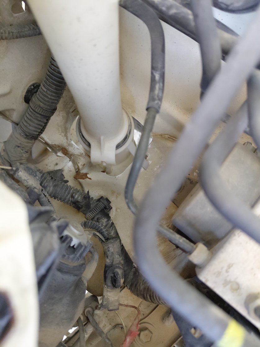 Toyota Corolla  2015 image