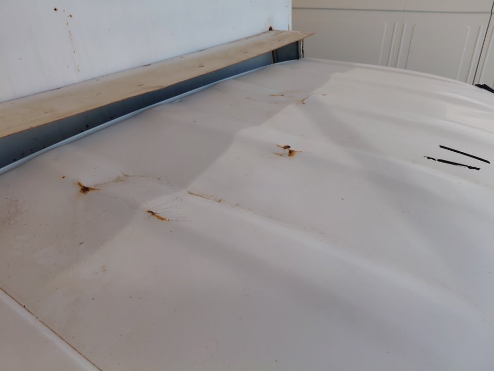 Daihatsu Dabbab  2013 image