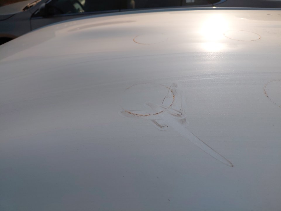 تويوتا يارس  2018 image