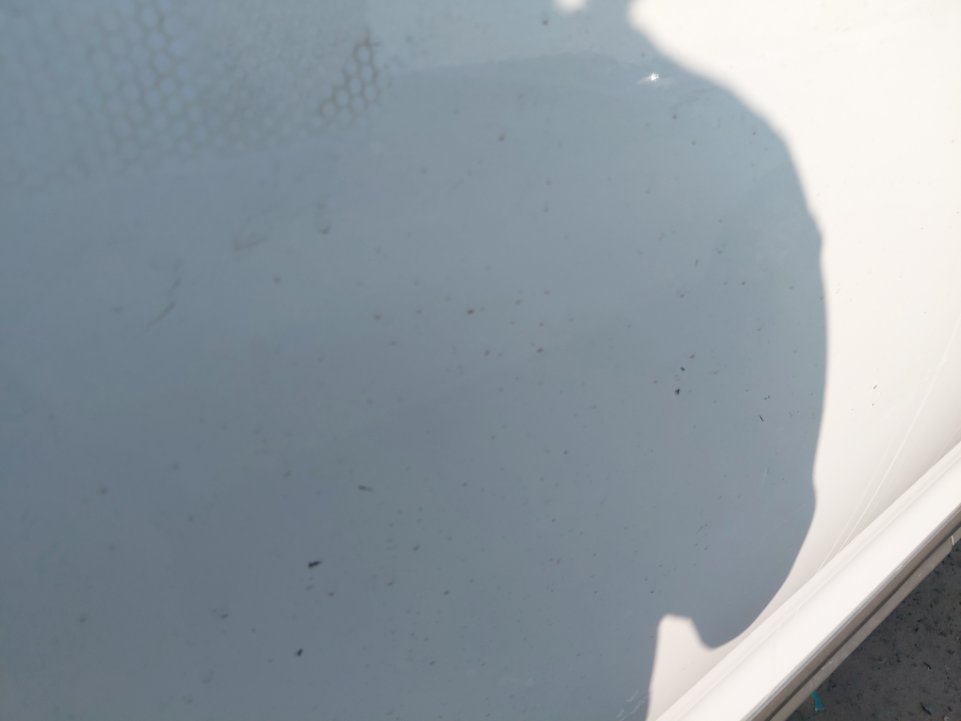 Hyundai H1  2021 image